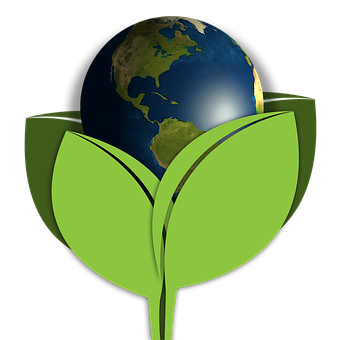 Earthin Green Leaf Sprout PNG with transparent background