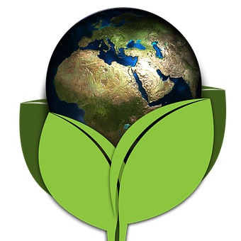 Earthin Green Leaves Concept PNG with transparent background