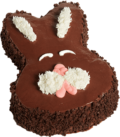 Easter Bunny Chocolate Cake