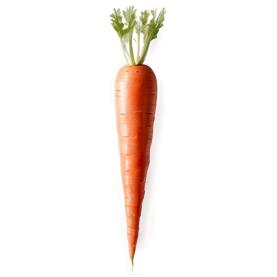 Easter Carrot Clipart Png Bdv79