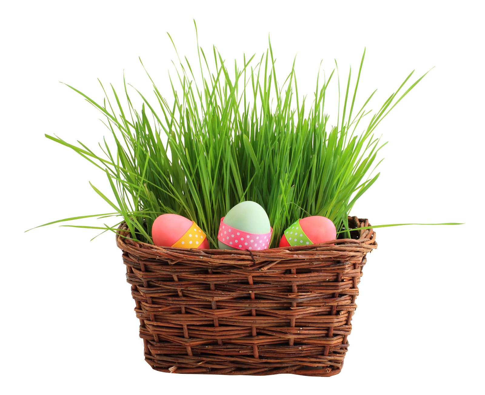 Easter Egg Basketwith Grass.png