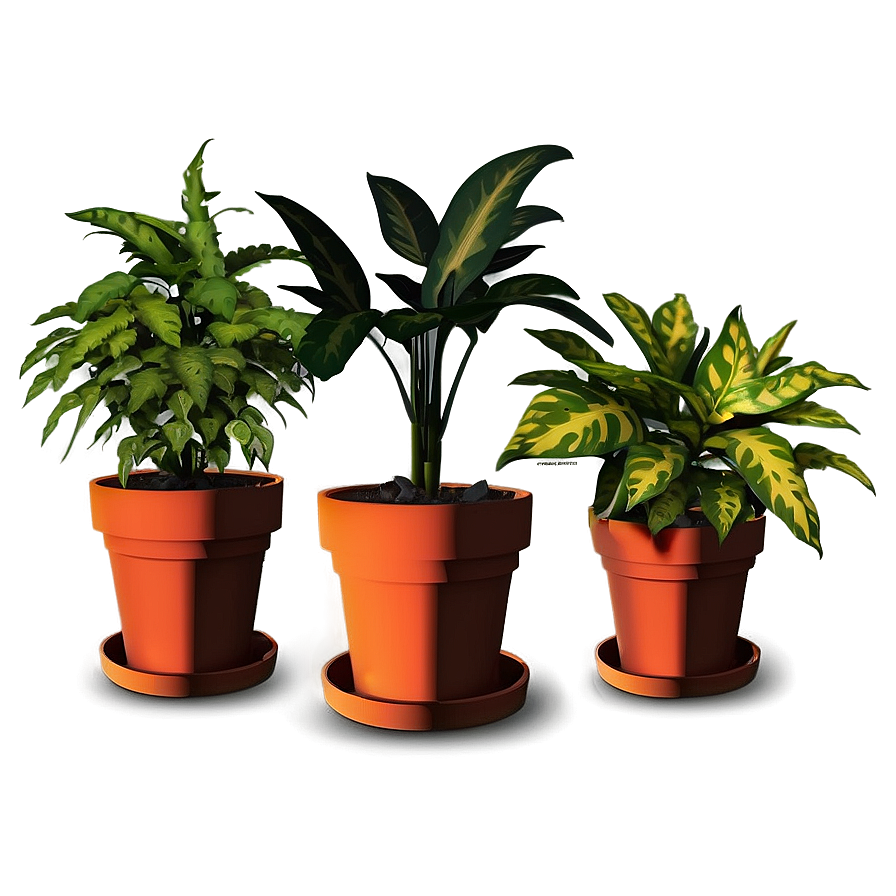 Easy Plant Care PNG guu PNG with transparent background