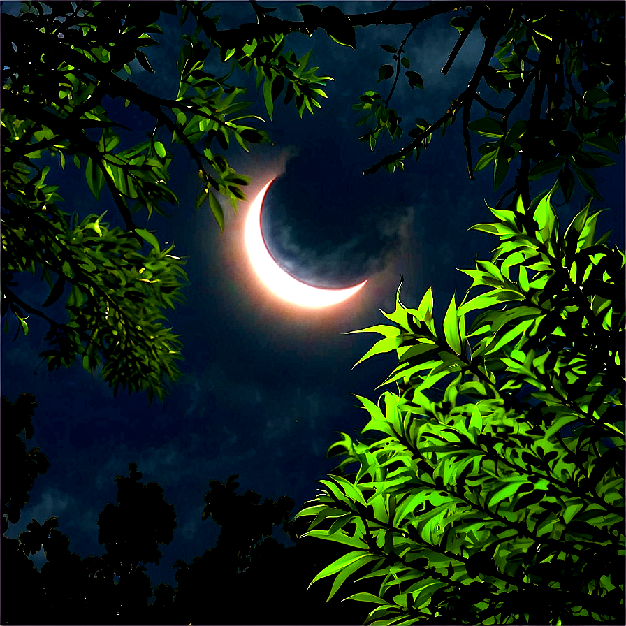 Eclipse Through Trees PNG tse PNG image with a transparent background, free high-resolution download