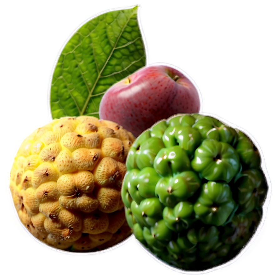 Eco-friendly Fruit Set Png Xhs