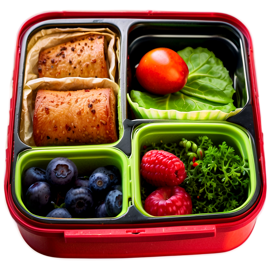 Eco-friendly Lunchbox Png 9