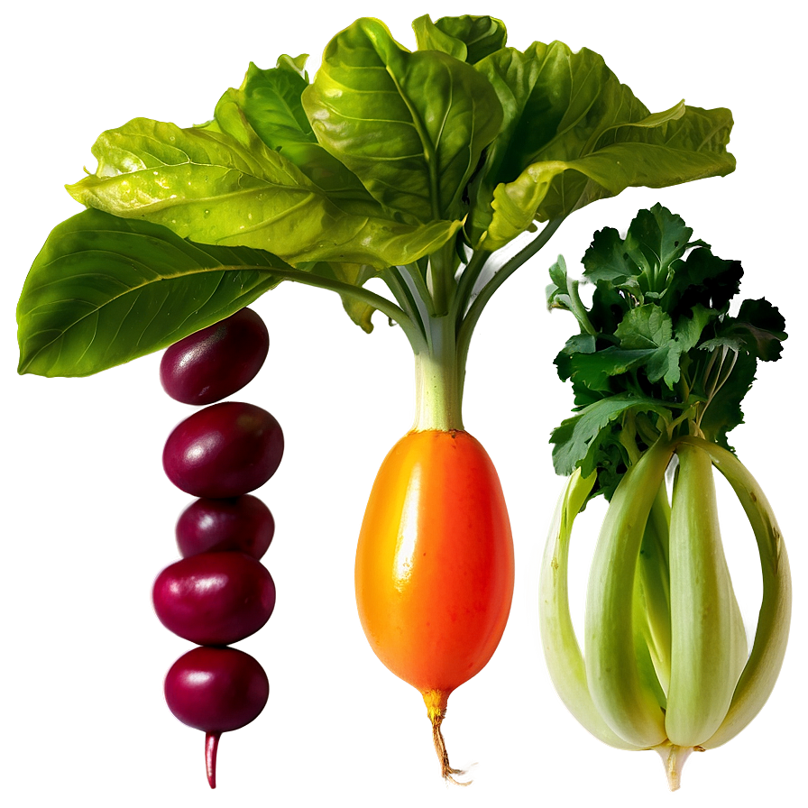 Edible Garden Crops Png 06112024