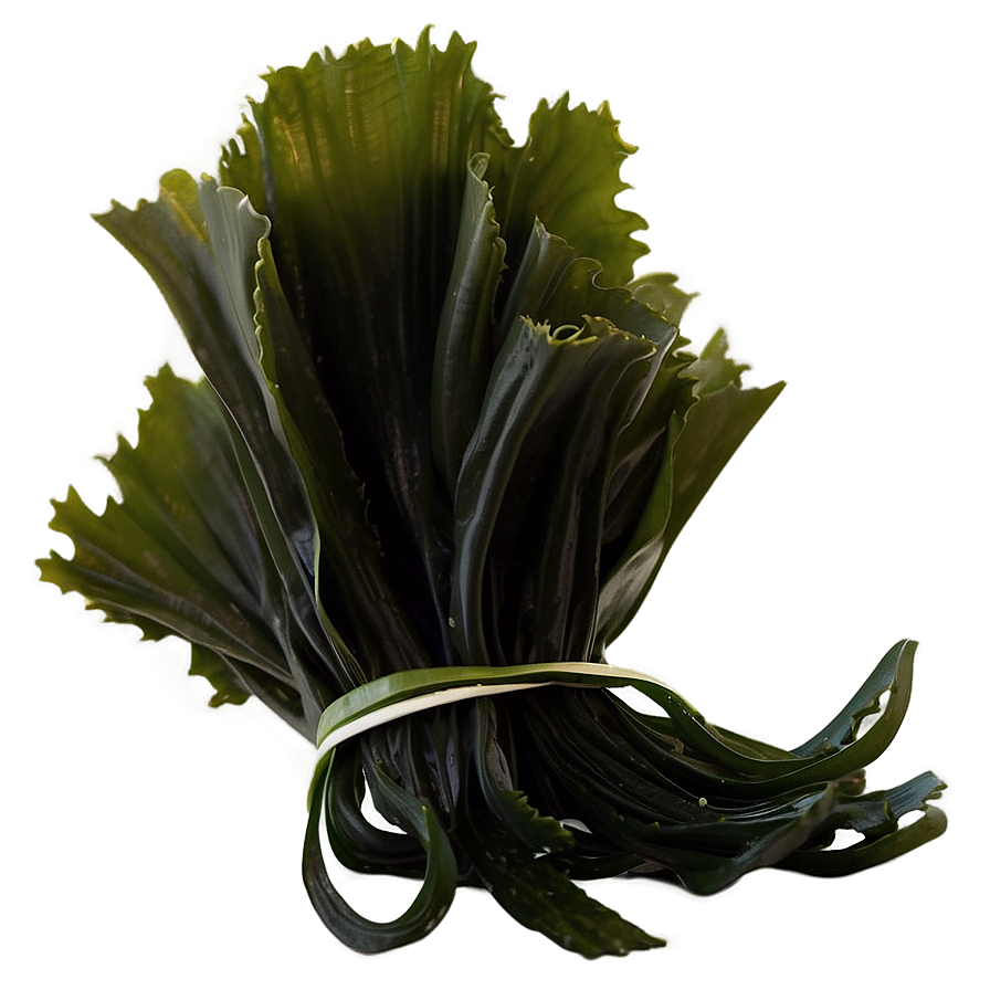 Edible Seaweed Product Png 05242024