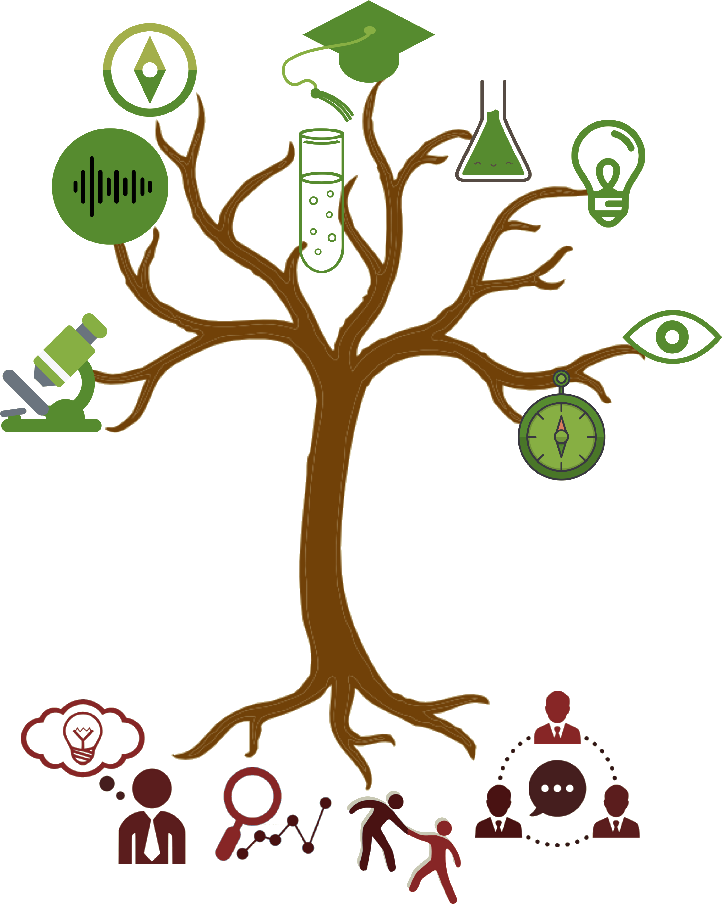 Smaple Image - Cartoon Tree Trunk Png, Transparent Png PNG with transparent background