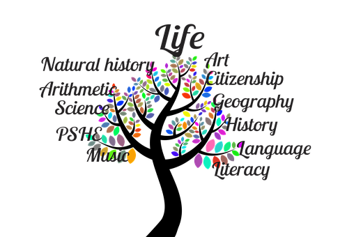 Educational Subjects Tree Concept PNG with transparent background