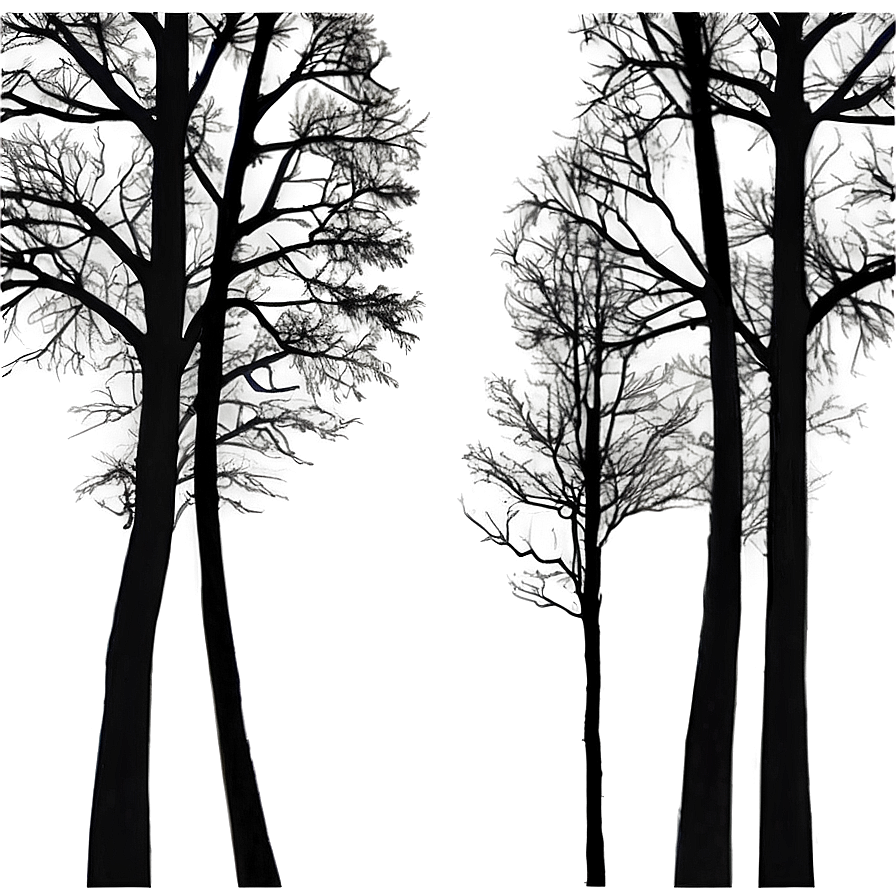 Eerie Forest Silhouette Png 06262024