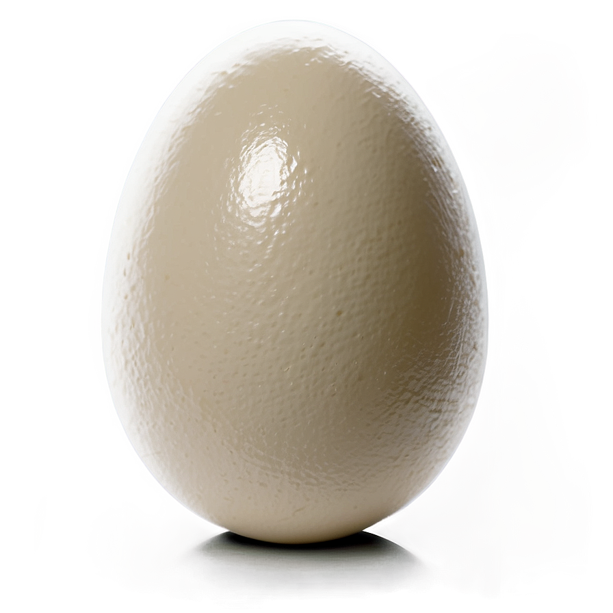 Egg B