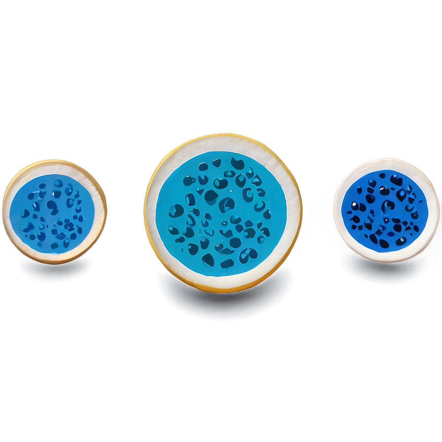 Egg Cells Visual PNG clj15 PNG with transparent background