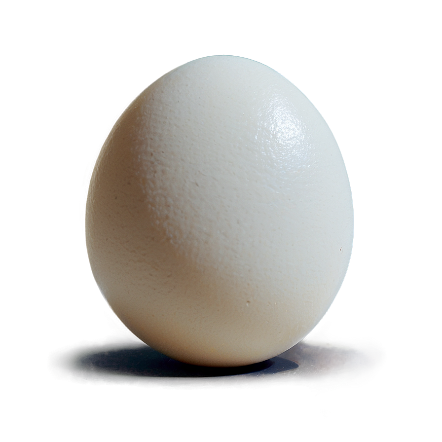 Egg Drawing Png 05242024