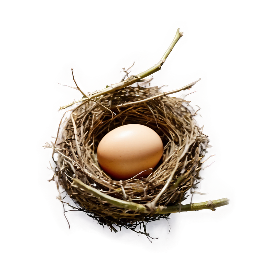 Egg In Nest Png 05242024