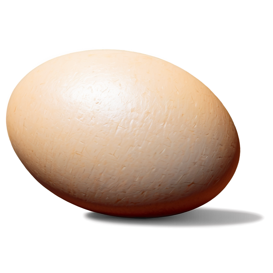 Egg Sketch Png Qbv11