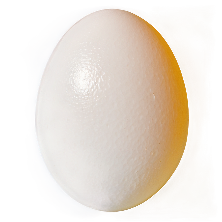 Egg Sunny Side Up PNG 05242024 PNG with transparent background
