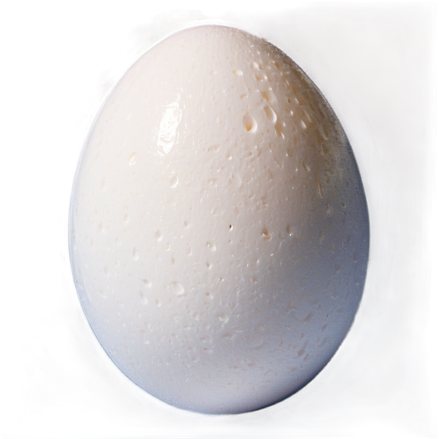 Egg White Png 05242024