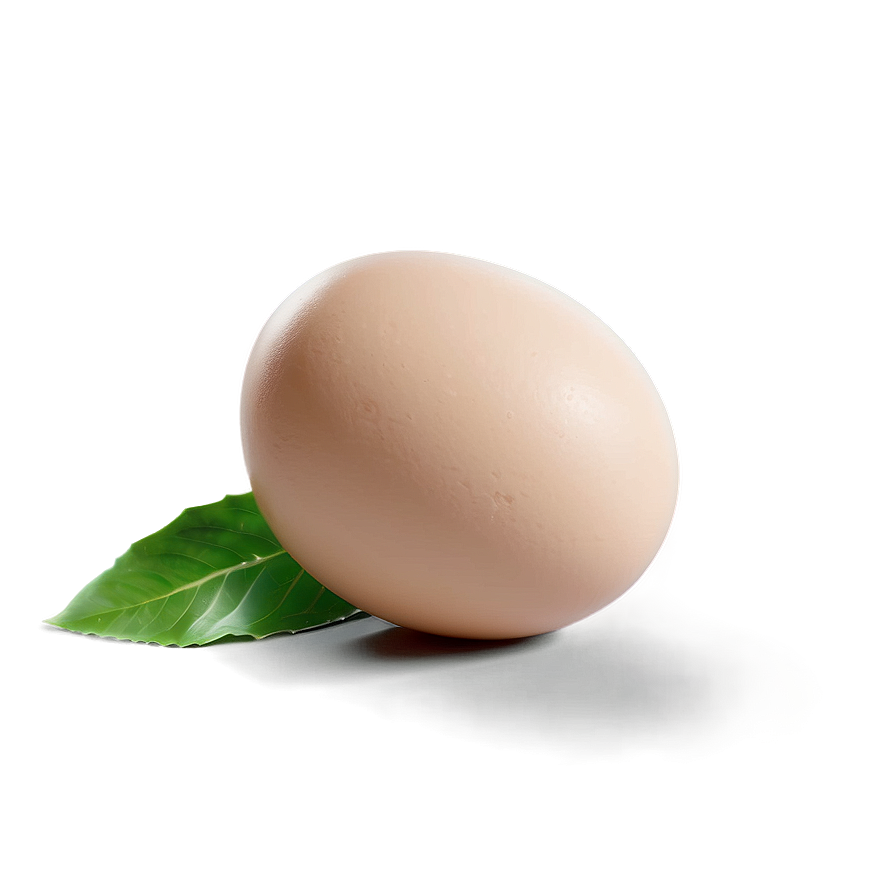 Egg White Png 15