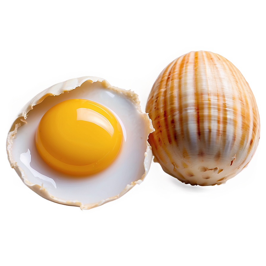 Egg Yolk And Shell Png Vli