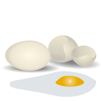 Eggs_ Variety_ Illustration PNG with transparent background