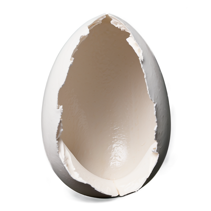 Eggshell Opening Png Tkq95