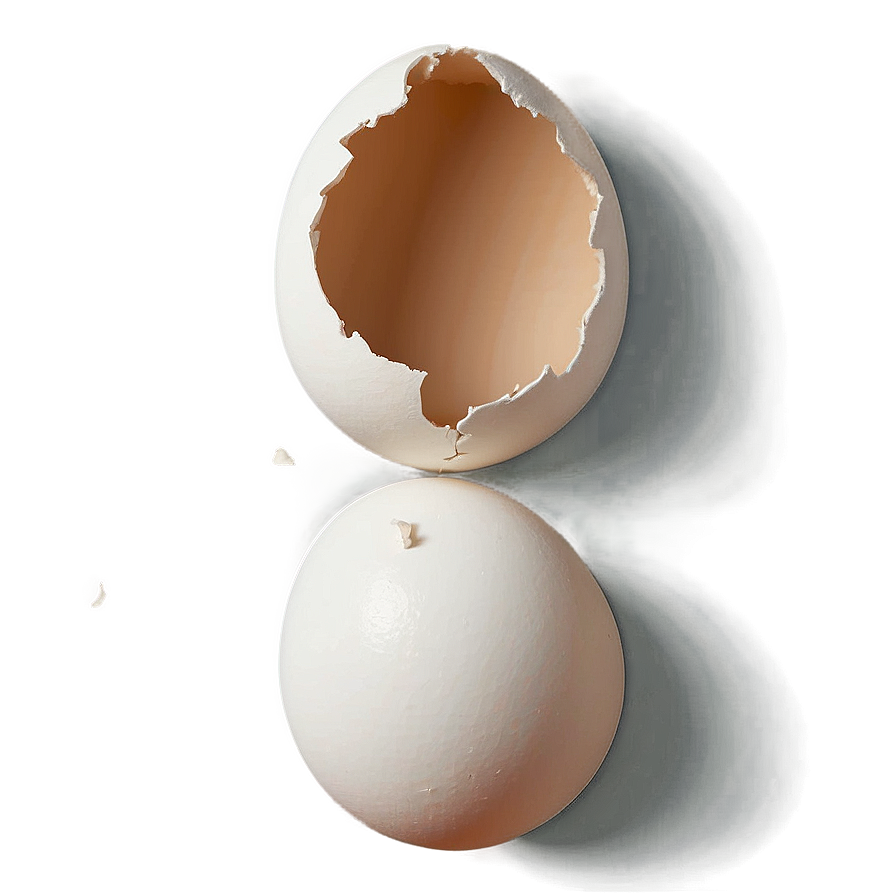 Eggshell Pieces Art Png 06132024