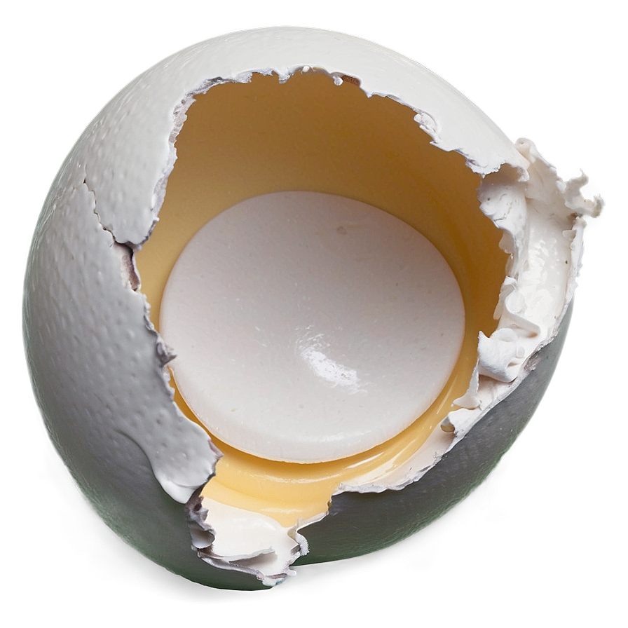 Eggshell Split Png 15