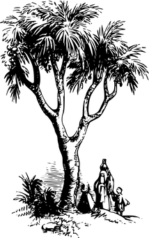 Egyptian Night Skyline Silhouette PNG with transparent background