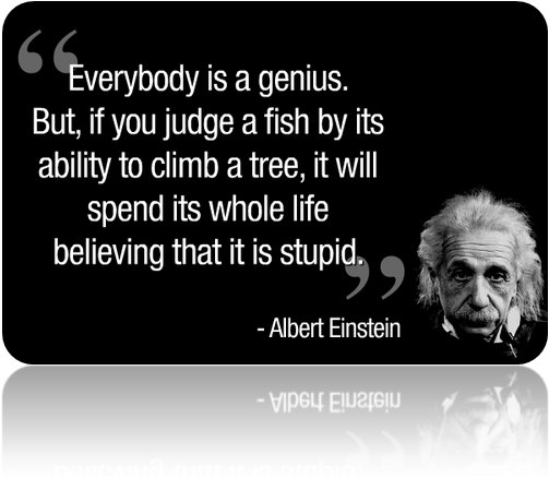 Einstein Genius Quote Image