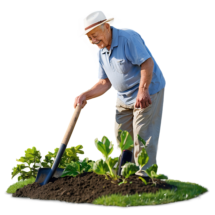 Elderly Man Gardening Png 06252024