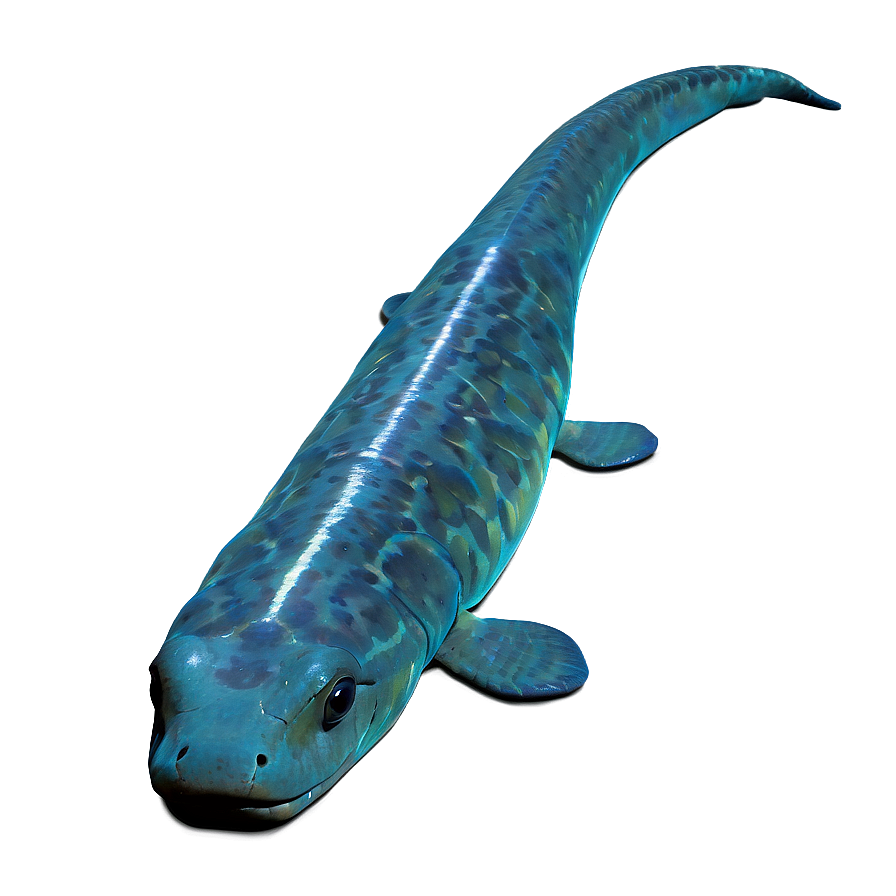 Electric Eel Graphic Png 06242024