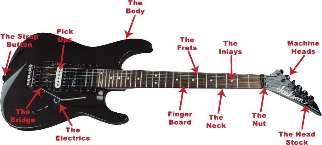 Anatomy Of The Guitar - Electric Guitar Parts Names, HD Png Download PNG with transparent background