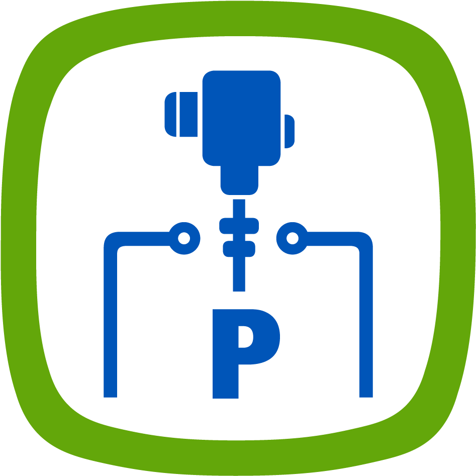 Electric Vehicle Charging Icon