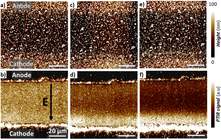 Electrochemical_ Deposition_ Microscopy_ Comparison