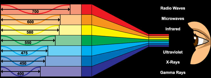 Electromagnetic Spectrumand Human Eye