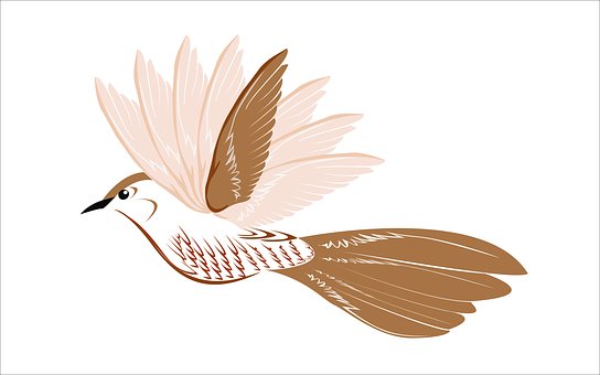 Elegant Bird Illustration PNG with transparent background