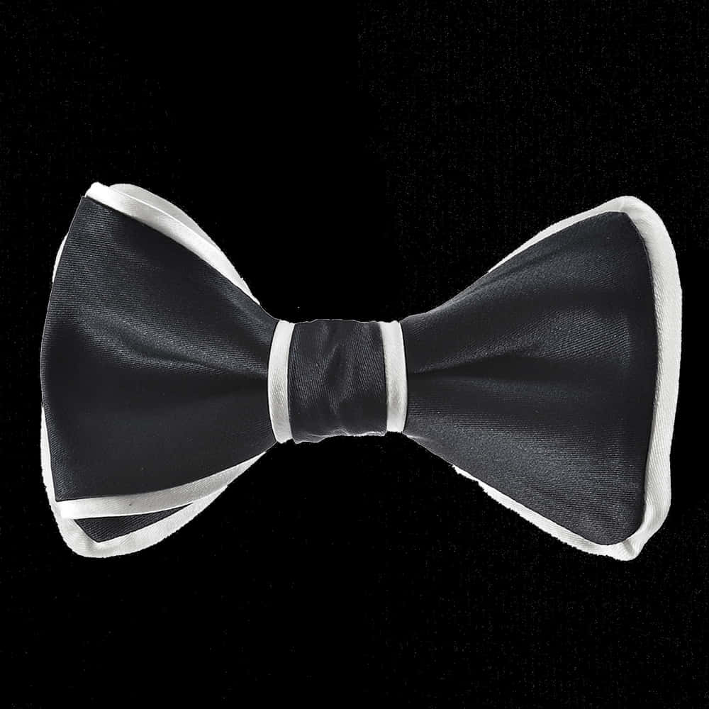 Black Bow Tie With White Border, HD Png Download PNG image with a transparent background, free high-resolution download