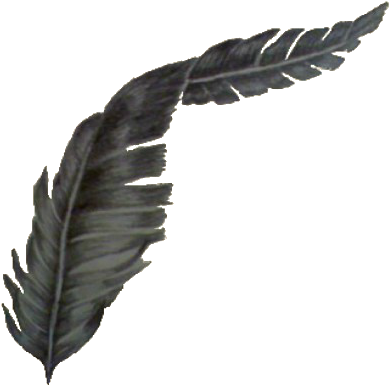 Elegant Black Feather Art.png