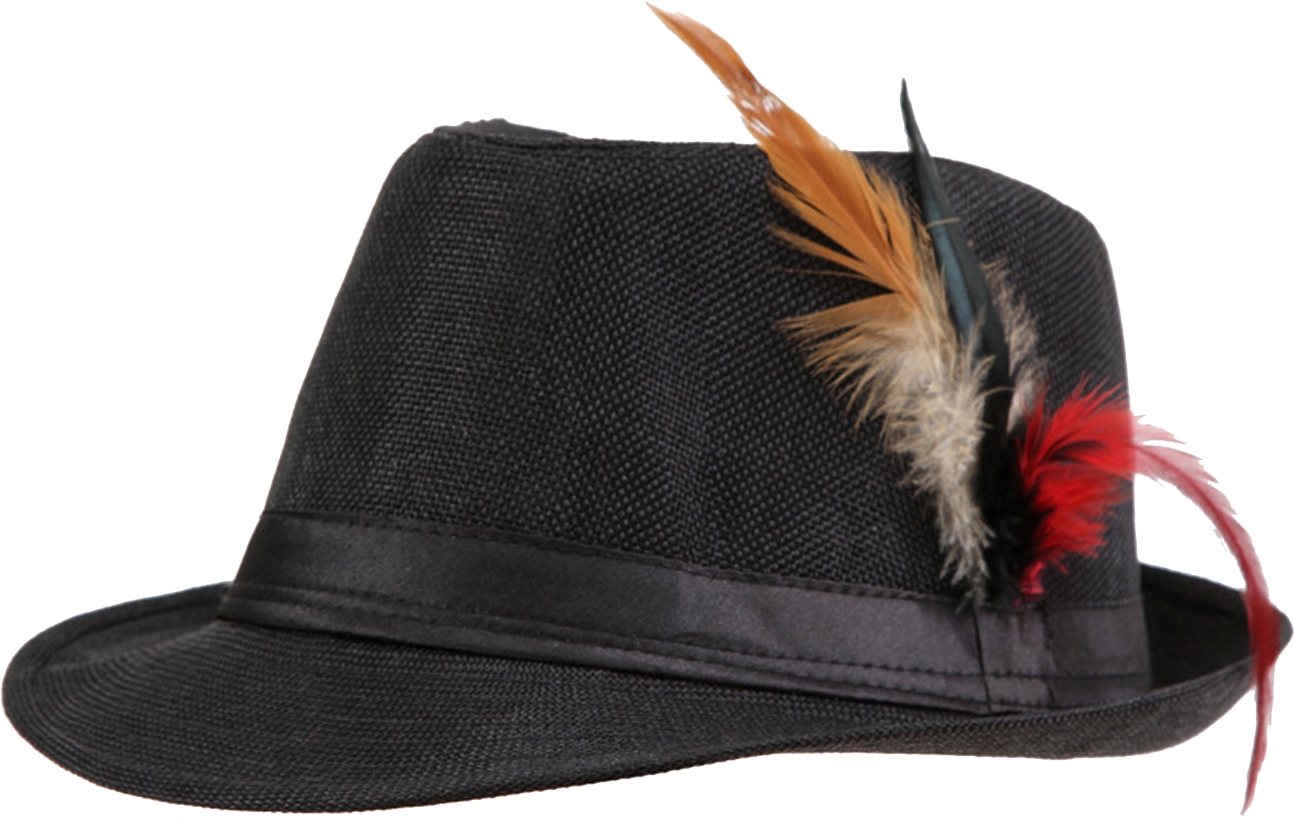 Elegant Black Fedora Hatwith Feathers