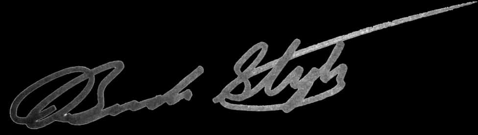 Elegant Black Signature