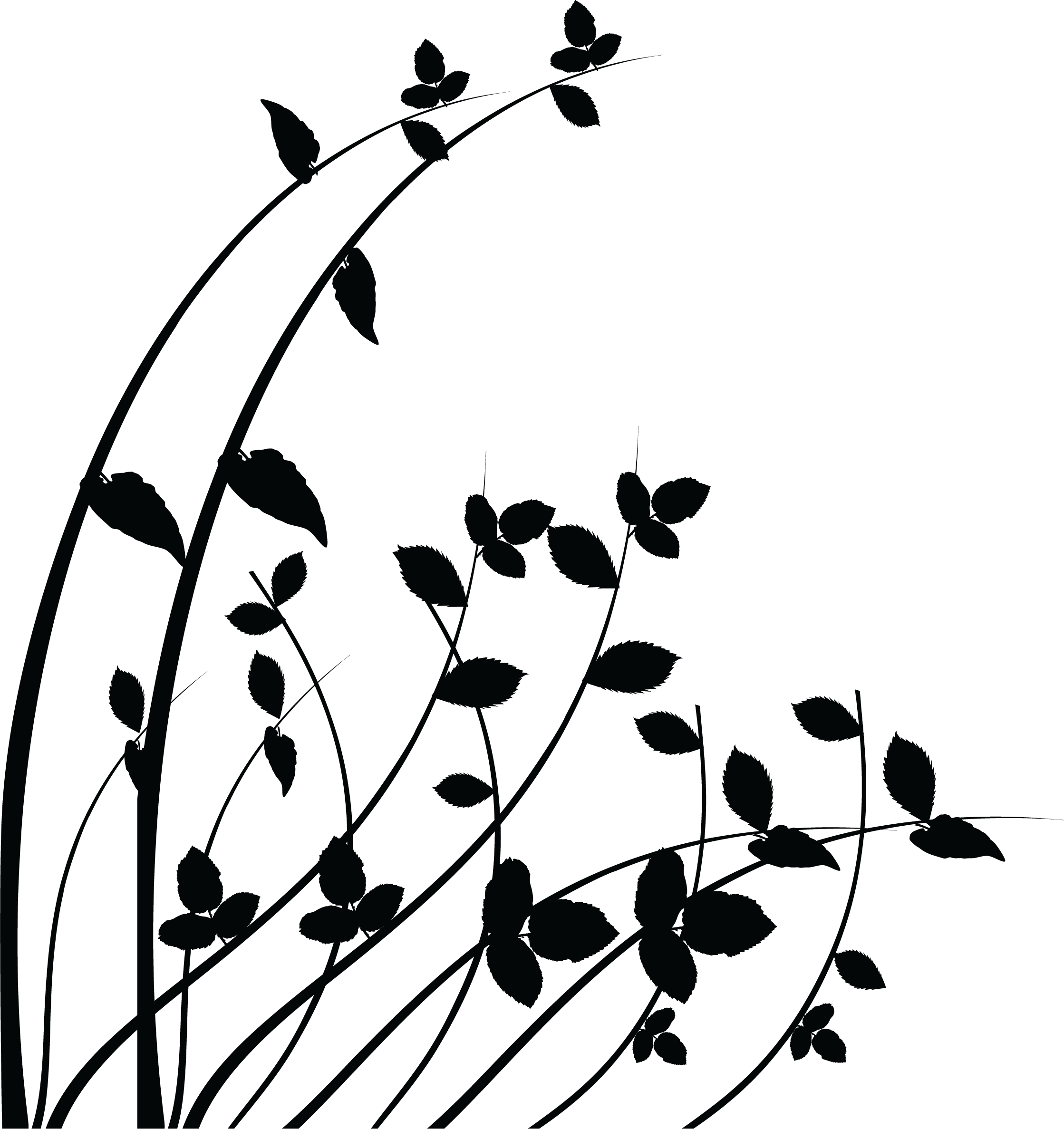 Wall Art Png - Wall Stickers Png Transparent, Png Download PNG with transparent background