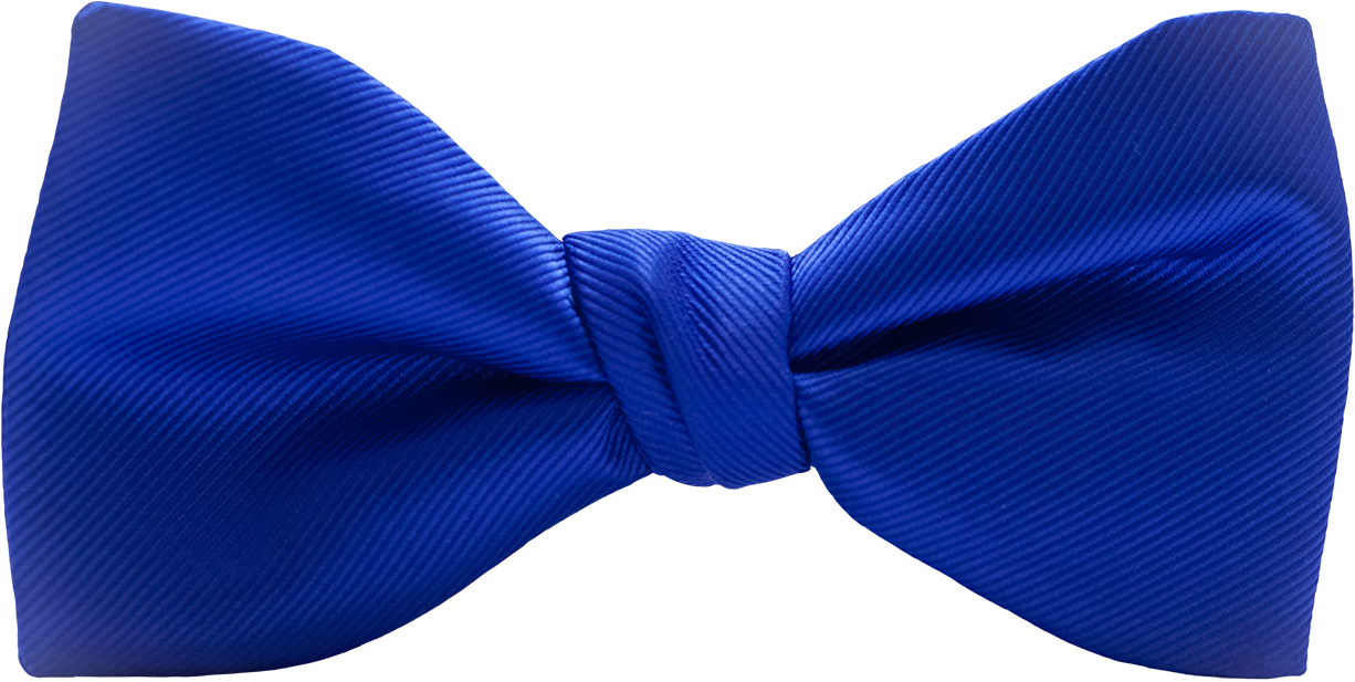 Elegant Blue Bow Tie