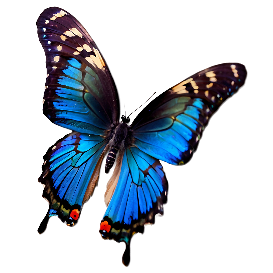 Elegant Blue Butterfly Png 9