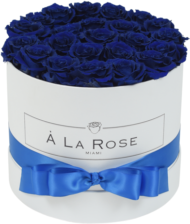 Royal Blue Roses In A Box'Class='lazyload Lazyload - Blue Rose, HD Png Download PNG with transparent background
