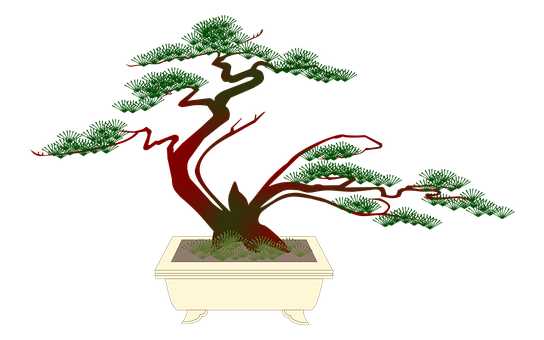 Elegant Bonsai Tree Illustration PNG image with a transparent background, free high-resolution download