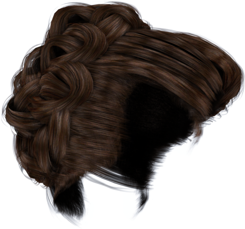 Hair Bun Png - Brown Hair Bun Png, Transparent Png PNG image with a transparent background, free high-resolution download
