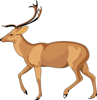 Elegant Brown Deer Illustration