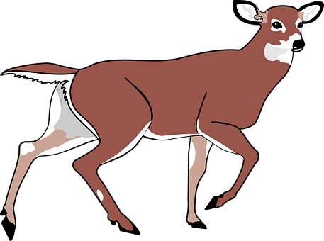 Elegant Brown Deer Illustration PNG with transparent background