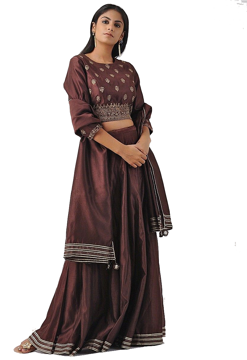 Elegant Brown Lehenga Choli Design