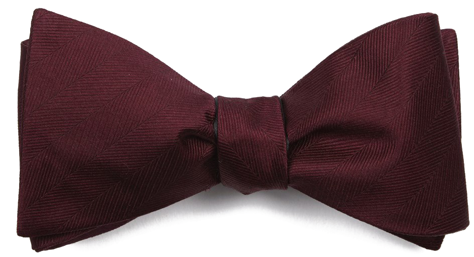 Elegant Burgundy Bow Tie